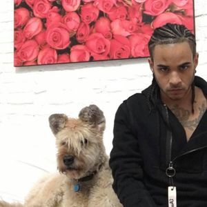 Meet your Posher, Benny